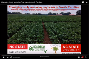 Cover photo for Managing Early Maturing Soybeans in North Carolina