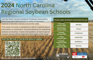 Tea Scale  NC State Extension Publications